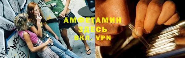 индика Богданович