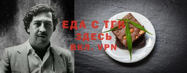 индика Богданович